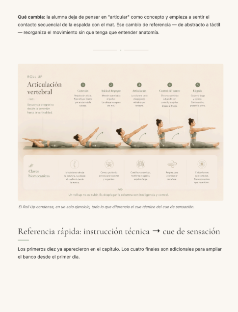 Articulación vertebral: del cue técnico al cue de sensación